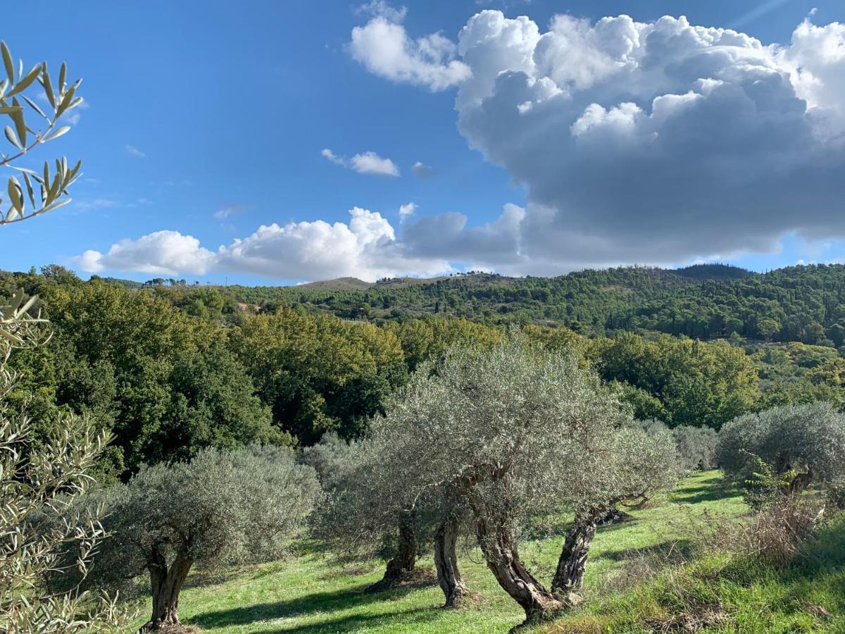 Farm stay Santa Margherita Chiaramonte Gulfi