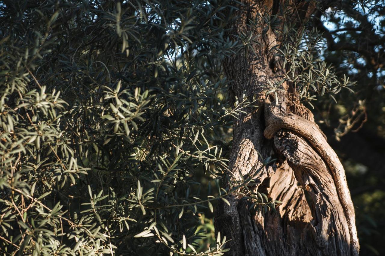 Santa Margherita Farm stay Chiaramonte Gulfi