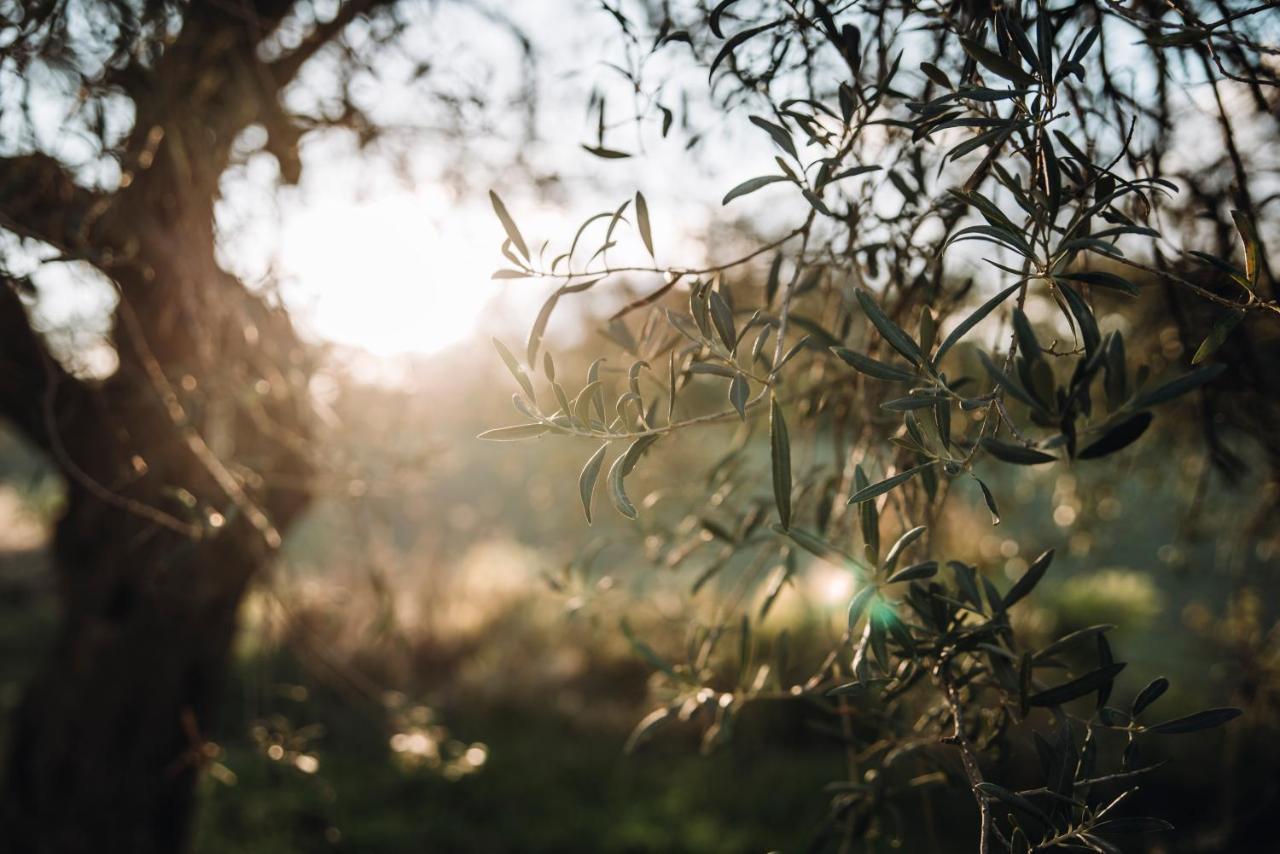 Santa Margherita Farm stay