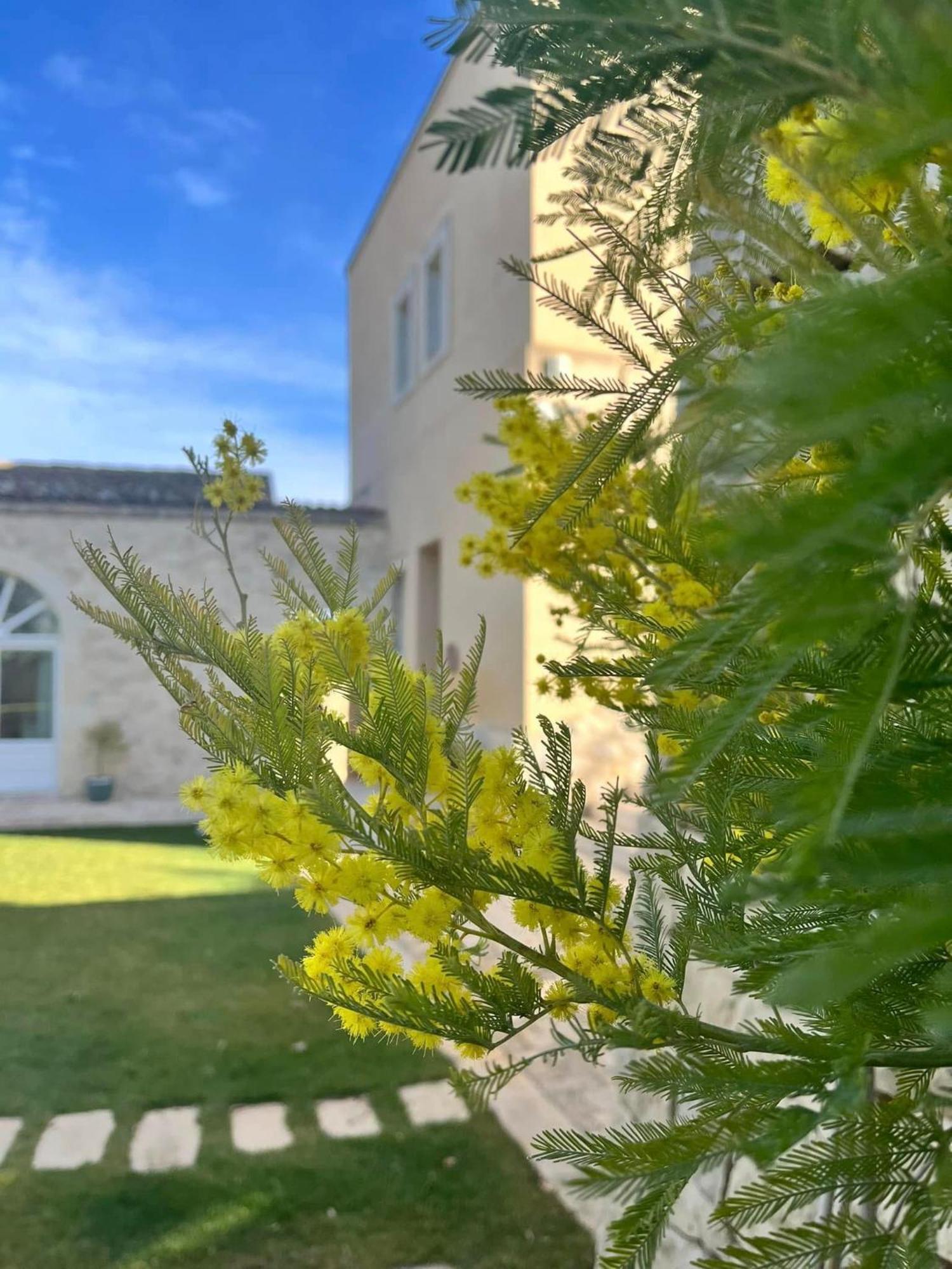 Santa Margherita Farm stay Chiaramonte Gulfi