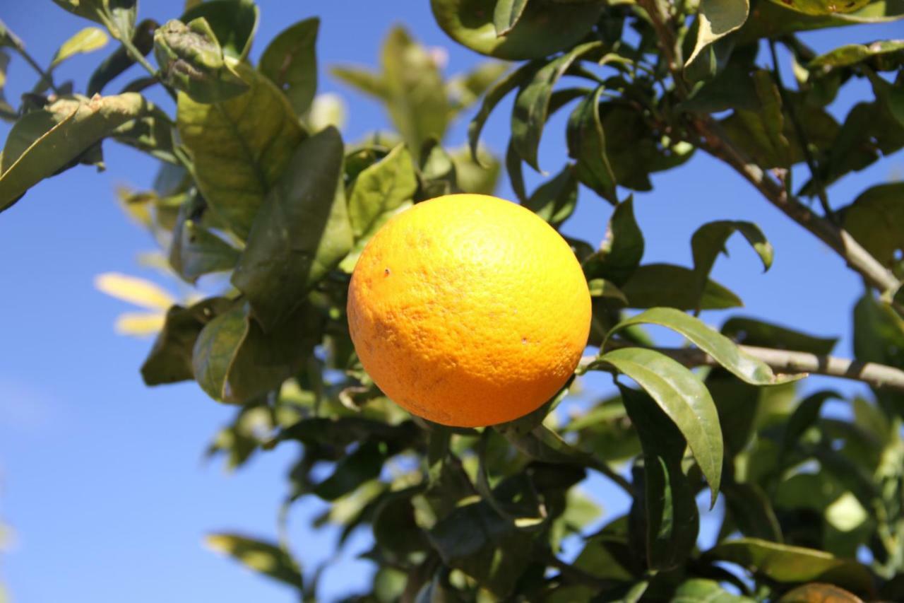 Farm stay Santa Margherita *