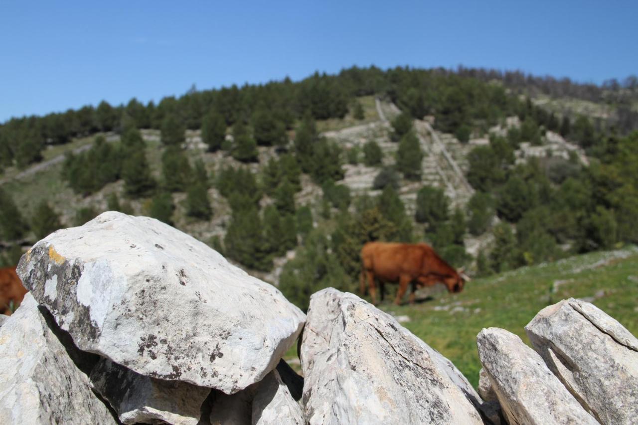 Santa Margherita Farm stay